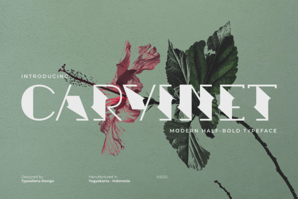 Carvinet: A Quirky Display Font That Elevates Web Design