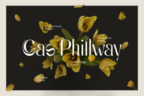 Cas Philway: A Display Font That Elevates Web Design with Elegance